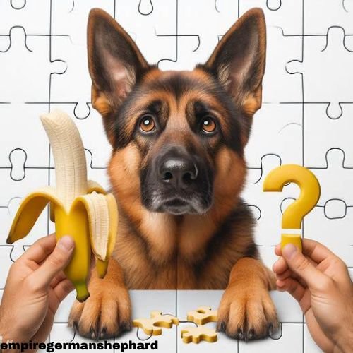 Can German Shepherds Eat Bananas