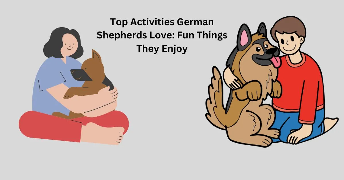 German Shepherds love playing fetch in the park, showcasing their energy and enthusiasm.