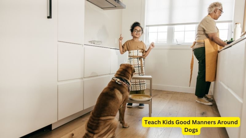 Children learning good manners while interacting gently with a dog.