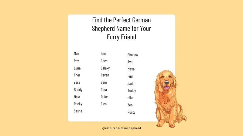 Comprehensive list of good names for German Shepherds, highlighting unique and powerful options for your loyal companion.