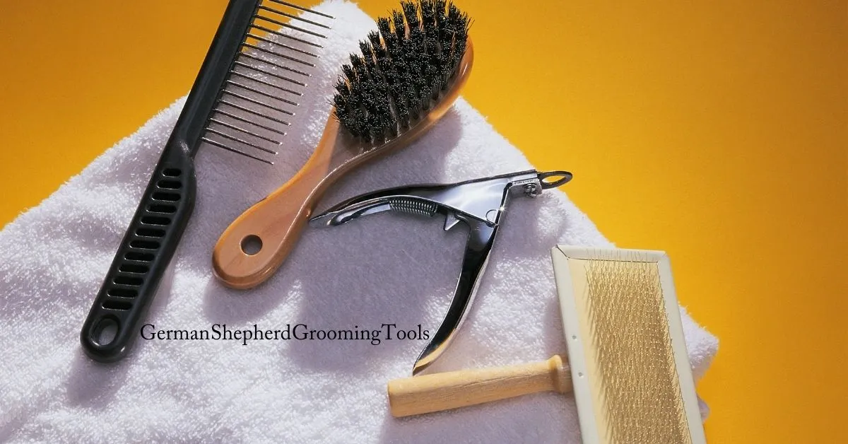 Essential German Shepherd grooming tools: a slicker brush, undercoat rake, and comb for a healthy, tangle-free coat.